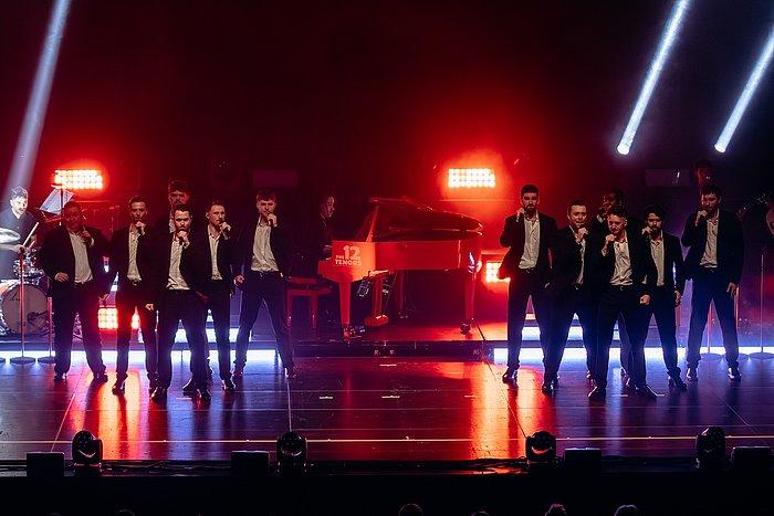 THE 12 TENORS